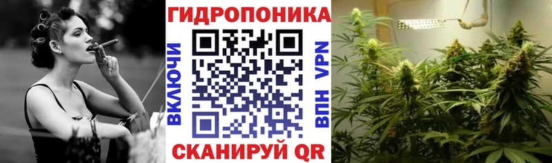Купить закладку Дно Альфа ПВП Амфетамин COCAIN Гашиш Псилоцибиновые грибы Меф Бошки Шишки