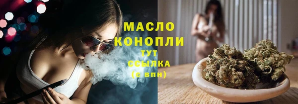apvp Бородино