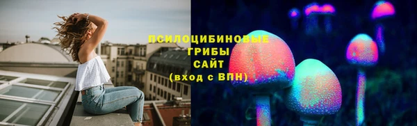 соль ск Богданович