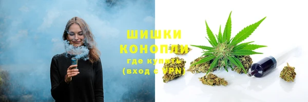 соль ск Богданович