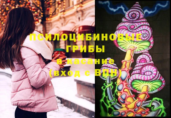 apvp Бородино