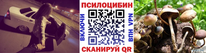 Псилоцибиновые грибы прущие грибы  как найти закладки  МЕГА ССЫЛКА  Дно 